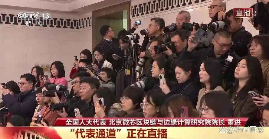 中國傳來好消息！全國人大代表宣布：我們自己搞定的芯片(圖1)
